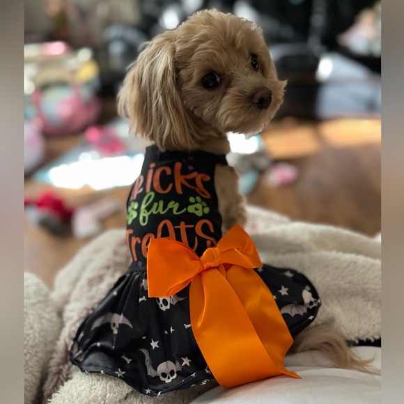 PRINCESS RAYNNE 💗💗💗 - Picture 4 of 17